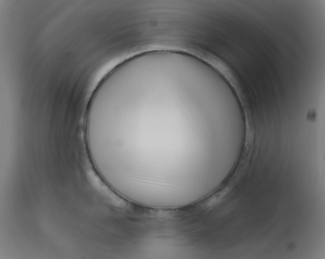 X0000113210958200910081313