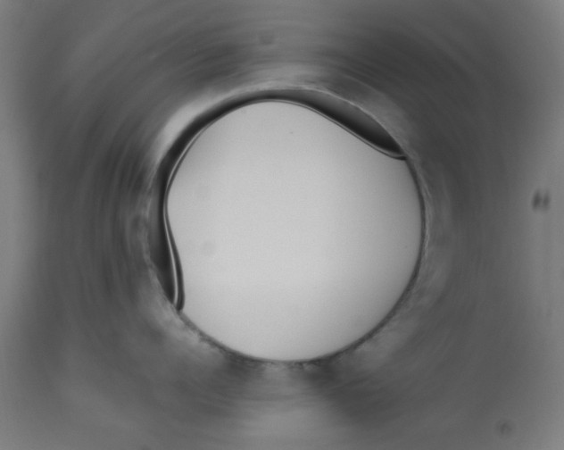 X0000113210960200910081313