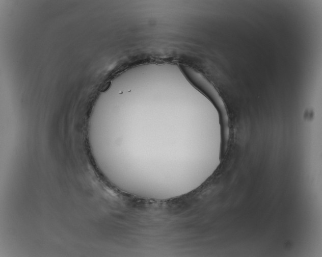 X0000113210961200910081313