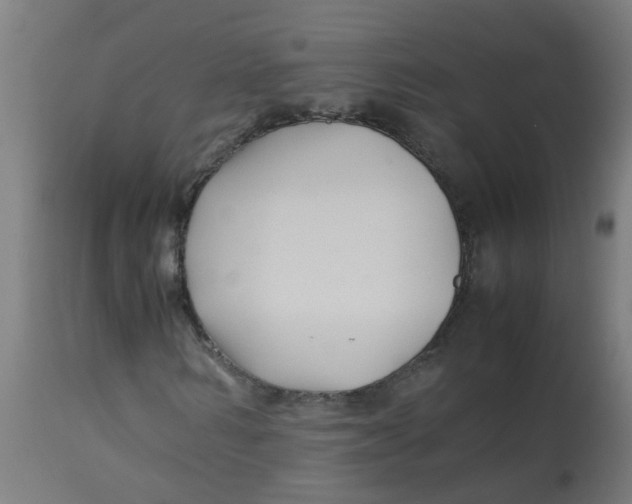 X0000113210962200910081313