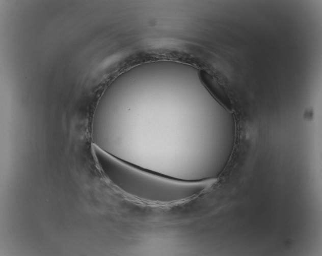 X0000113210965200910081313