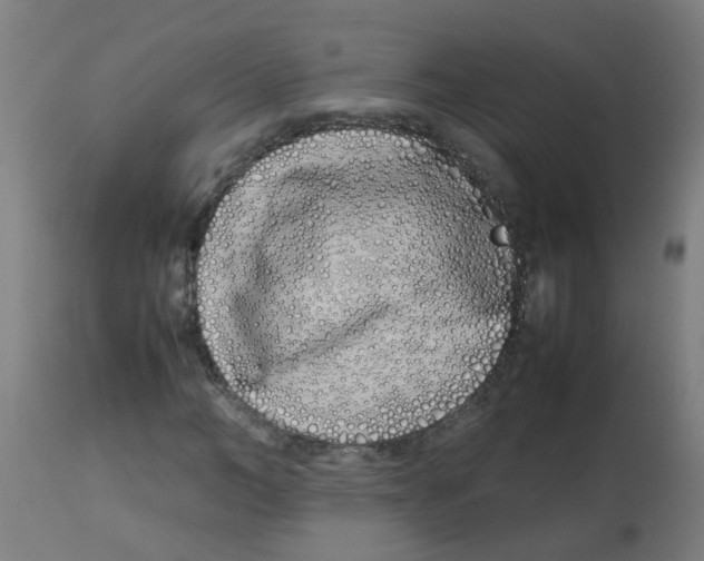 X0000113210966200910081313