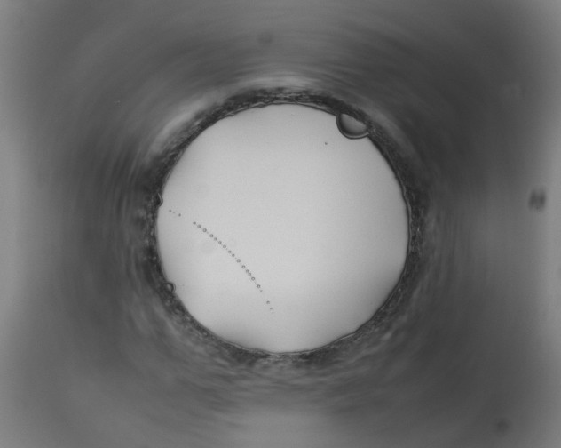 X0000113210967200910081313