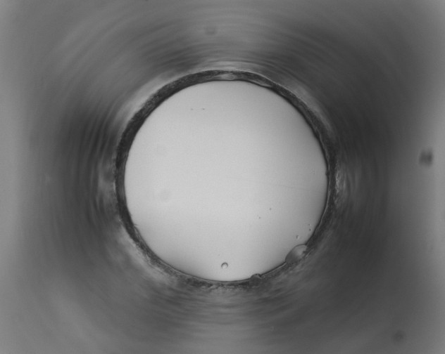 X0000113210972200910081313