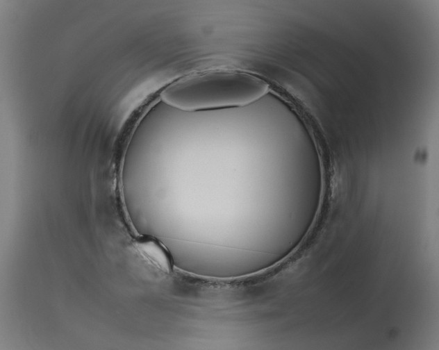 X0000113210973200910081313