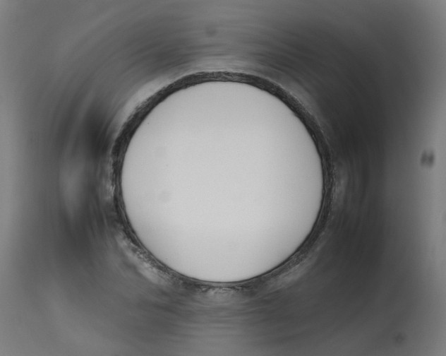 X0000113210974200910081313