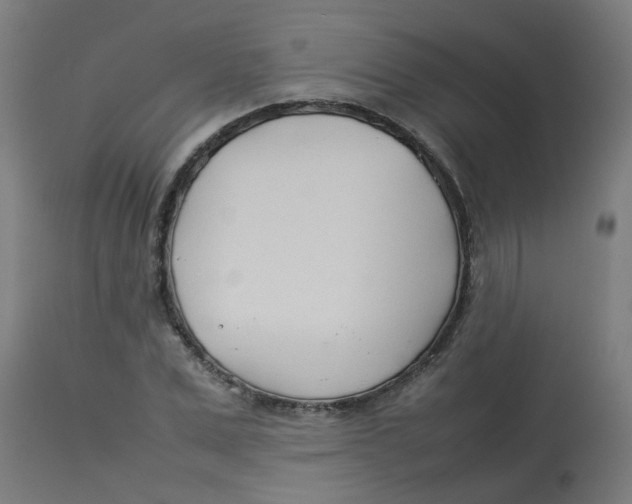 X0000113210975200910081312