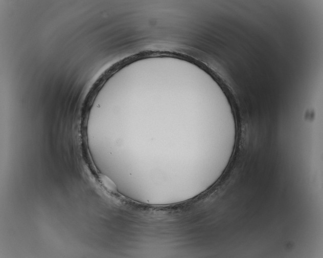 X0000113210976200910081312