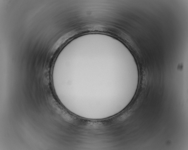 X0000113210978200910081312