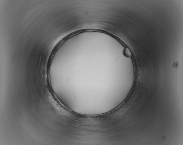 X0000113210980200910081312