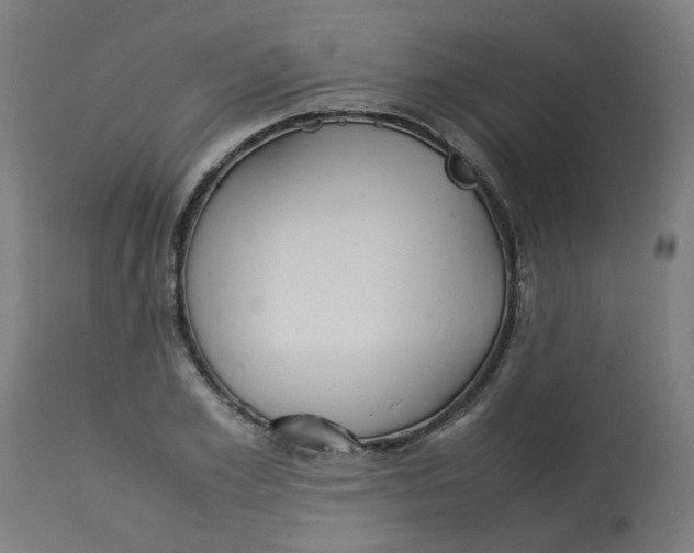 X0000113210981200910081312