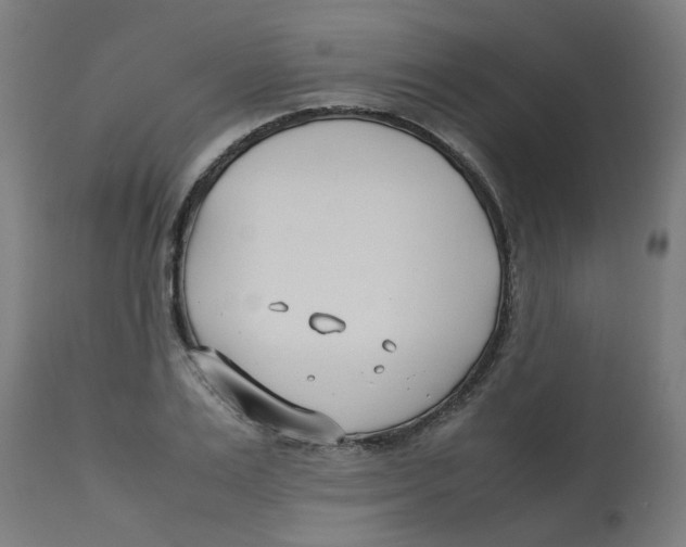 X0000113210983200910081312