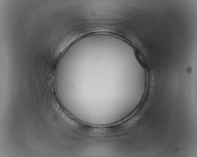 X0000113210985200910081312