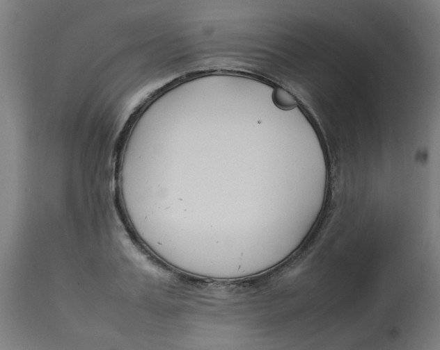 X0000113210987200910081312