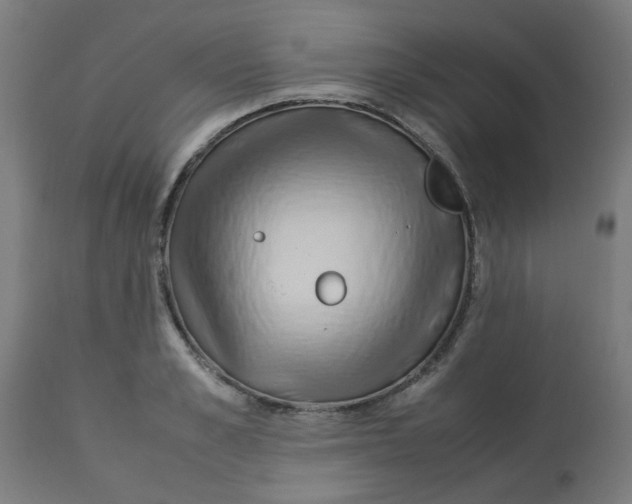 X0000113210989200910081312