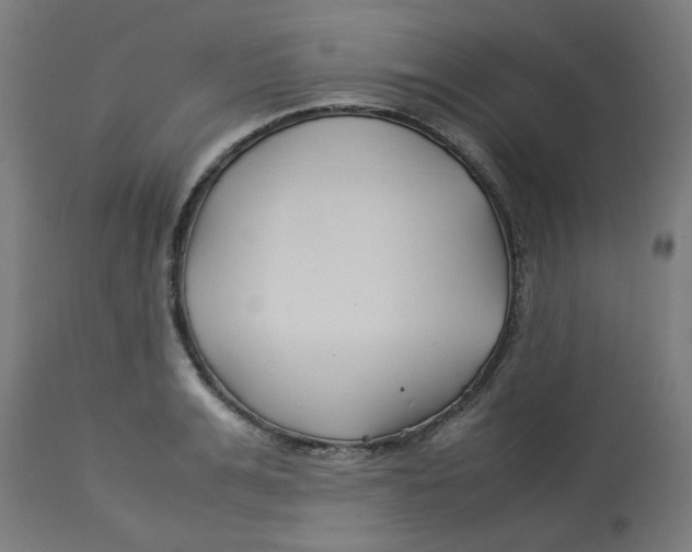 X0000113210991200910081312