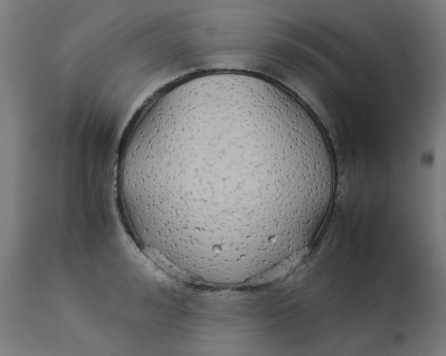 X0000113210992200910081312