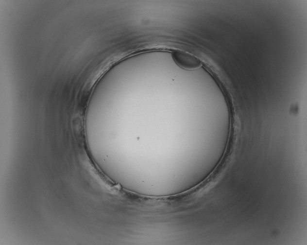 X0000113210993200910081312