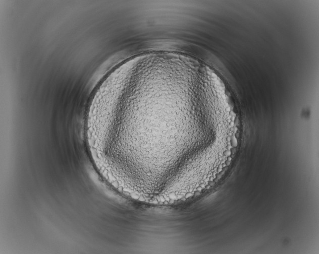 X0000113210994200910081312