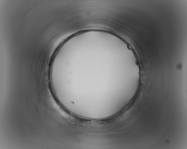 X0000113210995200910081312