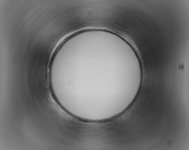 X0000113210996200910081312