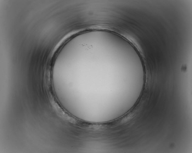 X0000113211000200910081312