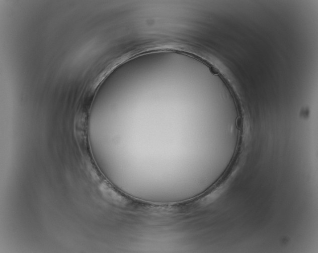 X0000113211001200910081312