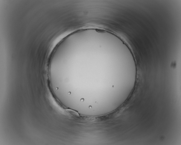 X0000113211003200910081312