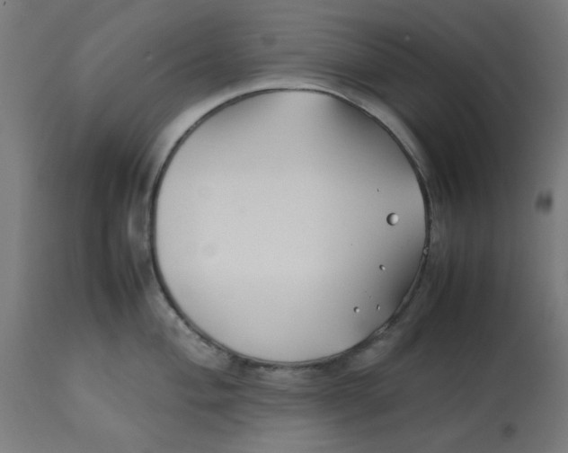 X0000113211004200910081312