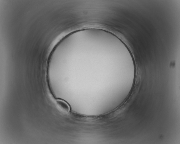 X0000113211005200910081312