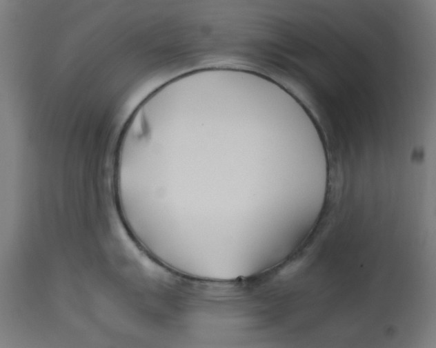 X0000113211007200910081312