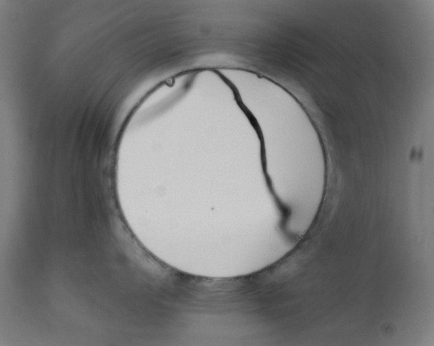 X0000113211008200910081312