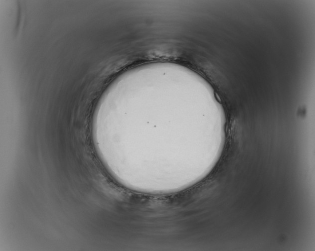 X0000113211009200910081311