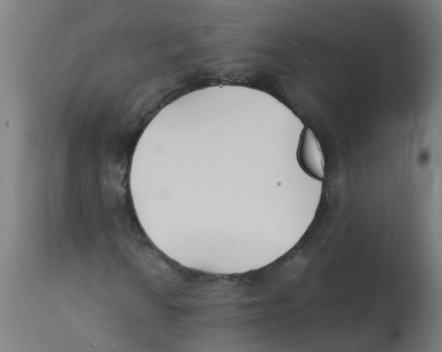 X0000113211010200910081311