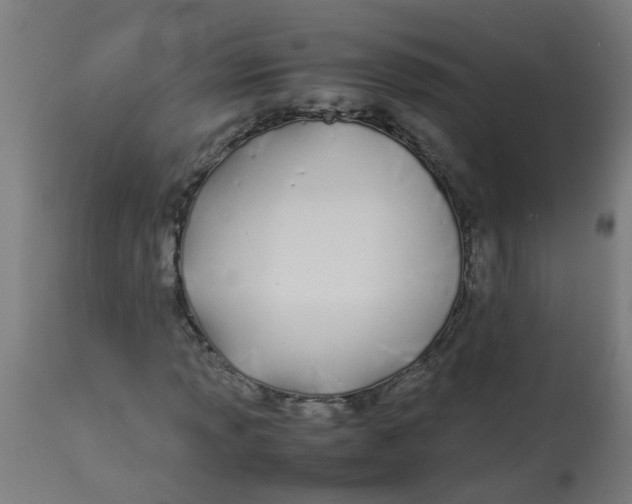 X0000113211013200910081311