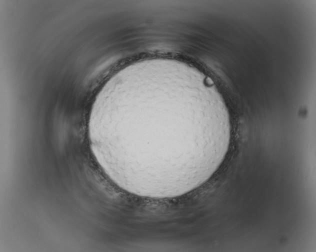 X0000113211015200910081311