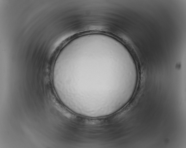 X0000113211019200910081311