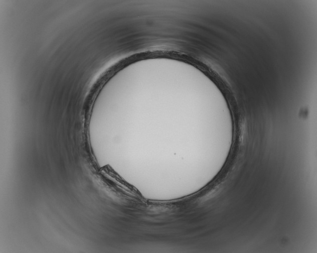 X0000113211021200910081311