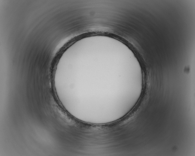 X0000113211022200910081311