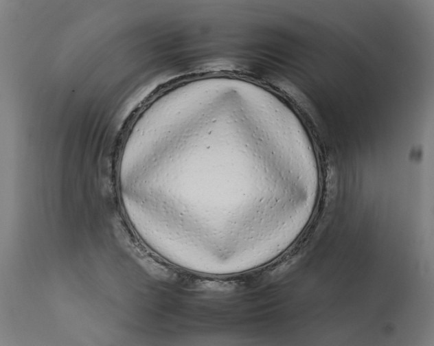 X0000113211023200910081311