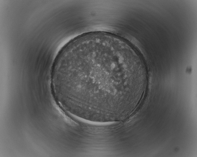 X0000113211024200910081311