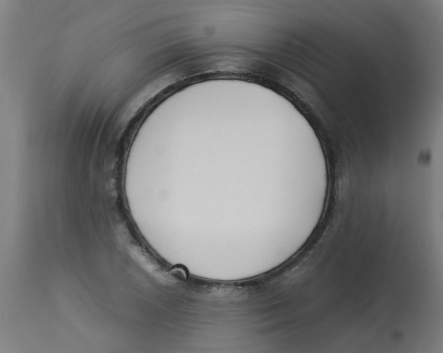 X0000113211026200910081311