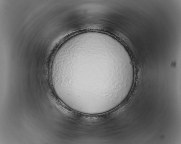 X0000113211027200910081311