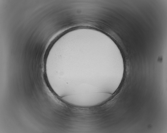 X0000113211028200910081311