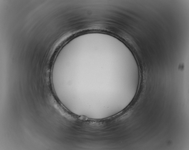 X0000113211029200910081311