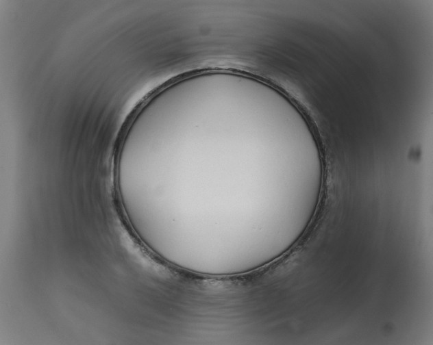 X0000113211032200910081312