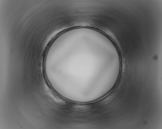 X0000113211035200910081312