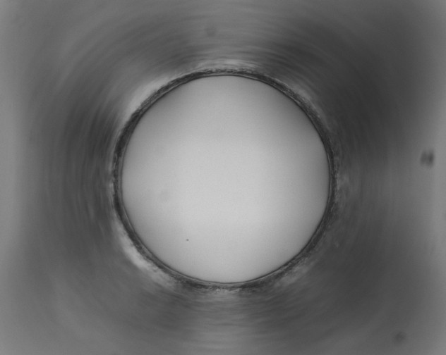 X0000113211038200910081312