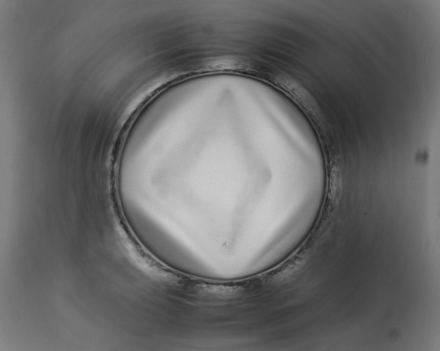 X0000113211039200910081312