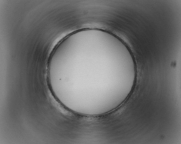 X0000113211040200910081312